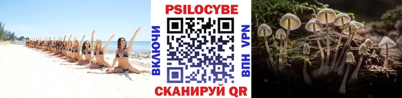 Галлюциногенные грибы Magic Shrooms  OMG сайт  Чулым 